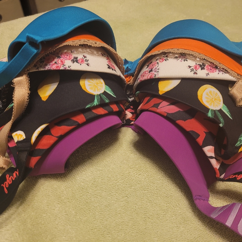 36b Bra bundle